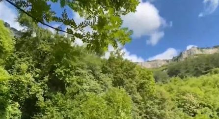 Спасиха като по чудо жена, лутала се три дни в гората край Своге 