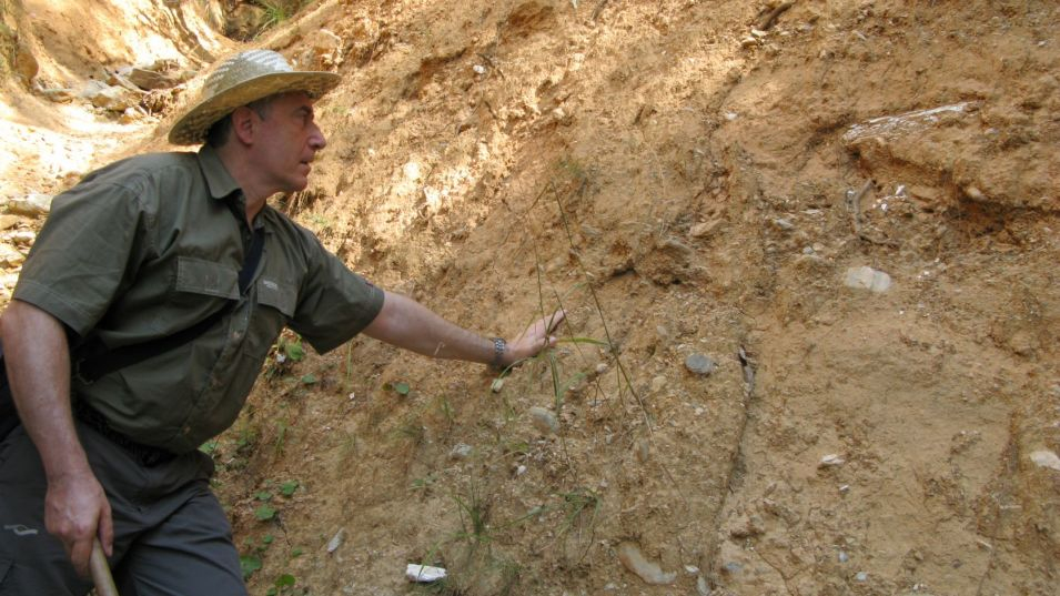 Учени с неочаквано откритие: В България е имало панди, ето как са изглеждали  