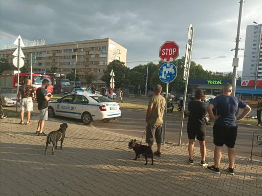 Адско меле блокира столичното "Цариградско шосе" СНИМКИ