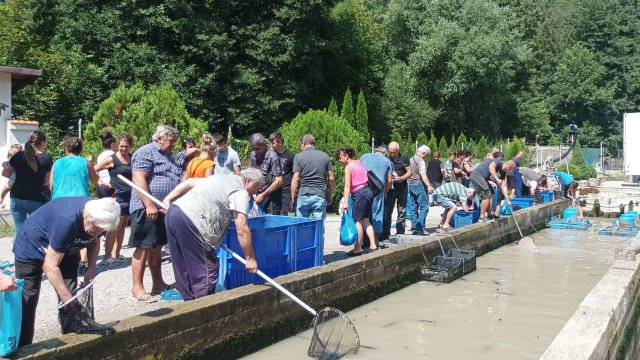Река до Своге внезапно изчезна снощи, хората събират риба с кофи, чешмите пресъхнаха СНИМКИ