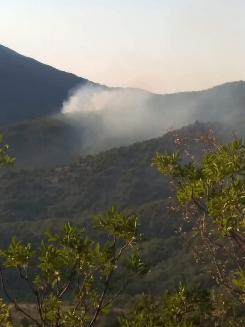 Пореден пожар лумна в България, огнеборци гасят... СНИМКИ 