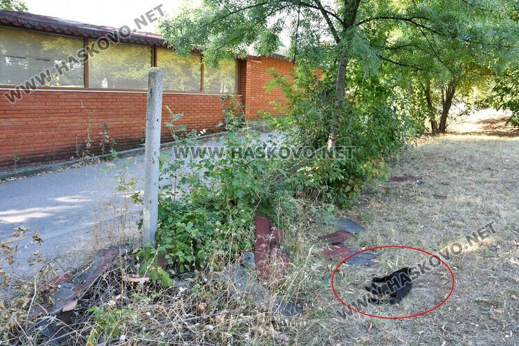 Трупове осеяха любимия парк на хасковлии ВИДЕО 18+