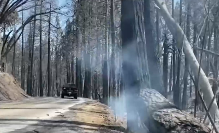 Пожар в Калифорния унищожи 100 къщи