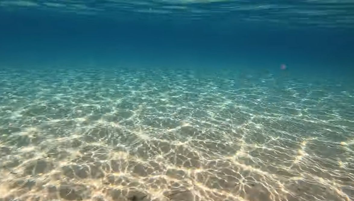 Това ВИДЕО разкри защо българите масово избраха гръцкото море