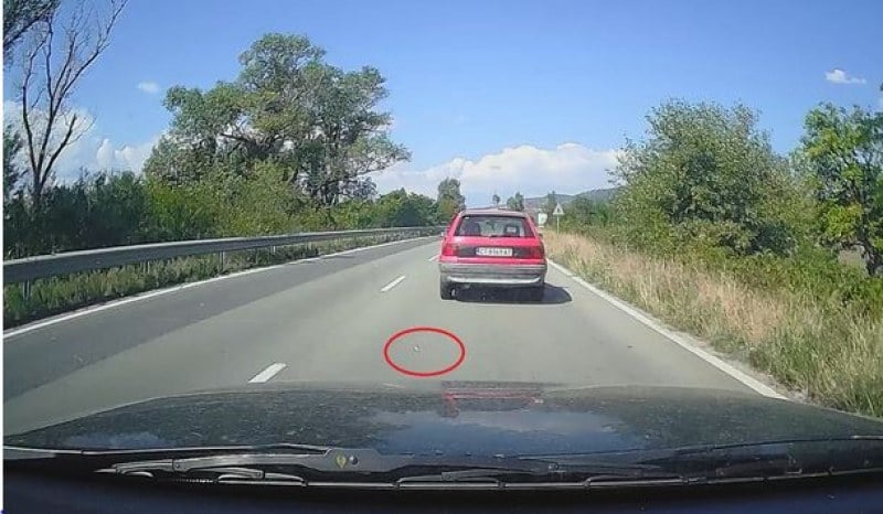 Мъж засне нещо гадно на път и изригна: Ето така стават големите пожари СНИМКА