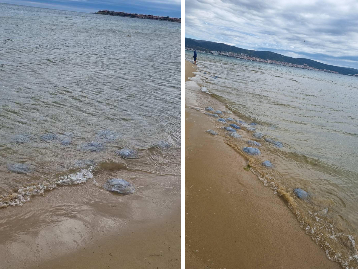 Морето полудя след мощния ураган! Такова чудо на плажа никой не помни СНИМКИ 