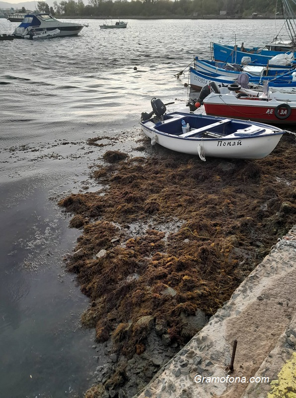 Уникално ВИДЕО от морето показва какъв невиждан феномен се е случил в Бургаско минути преди адската буря 
