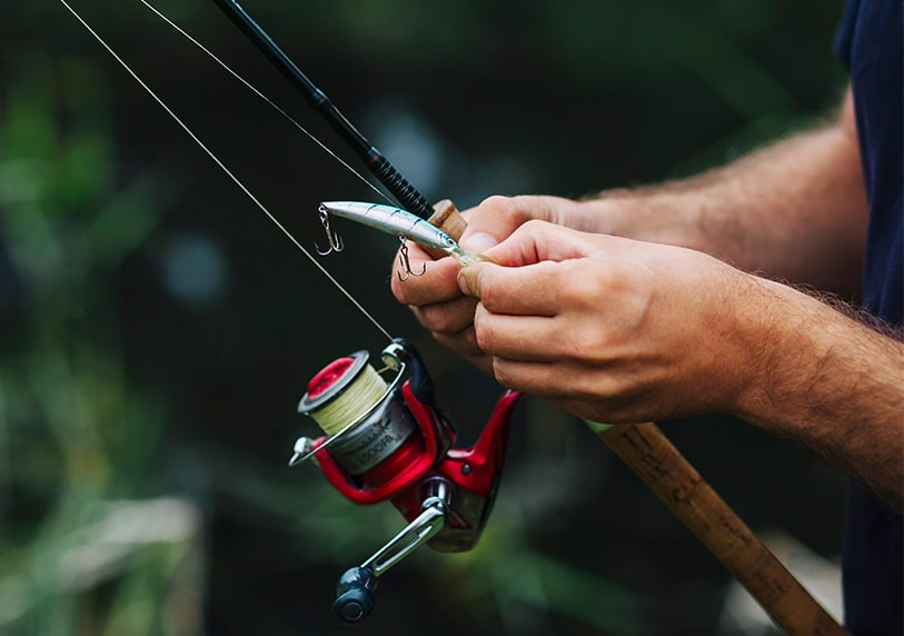 Начинаещ рибар извади трофеен гигант от Дунав СНИМКА