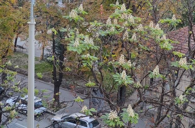 Поличба: СНИМКА във фейсбук сочи, че иде много студена зима