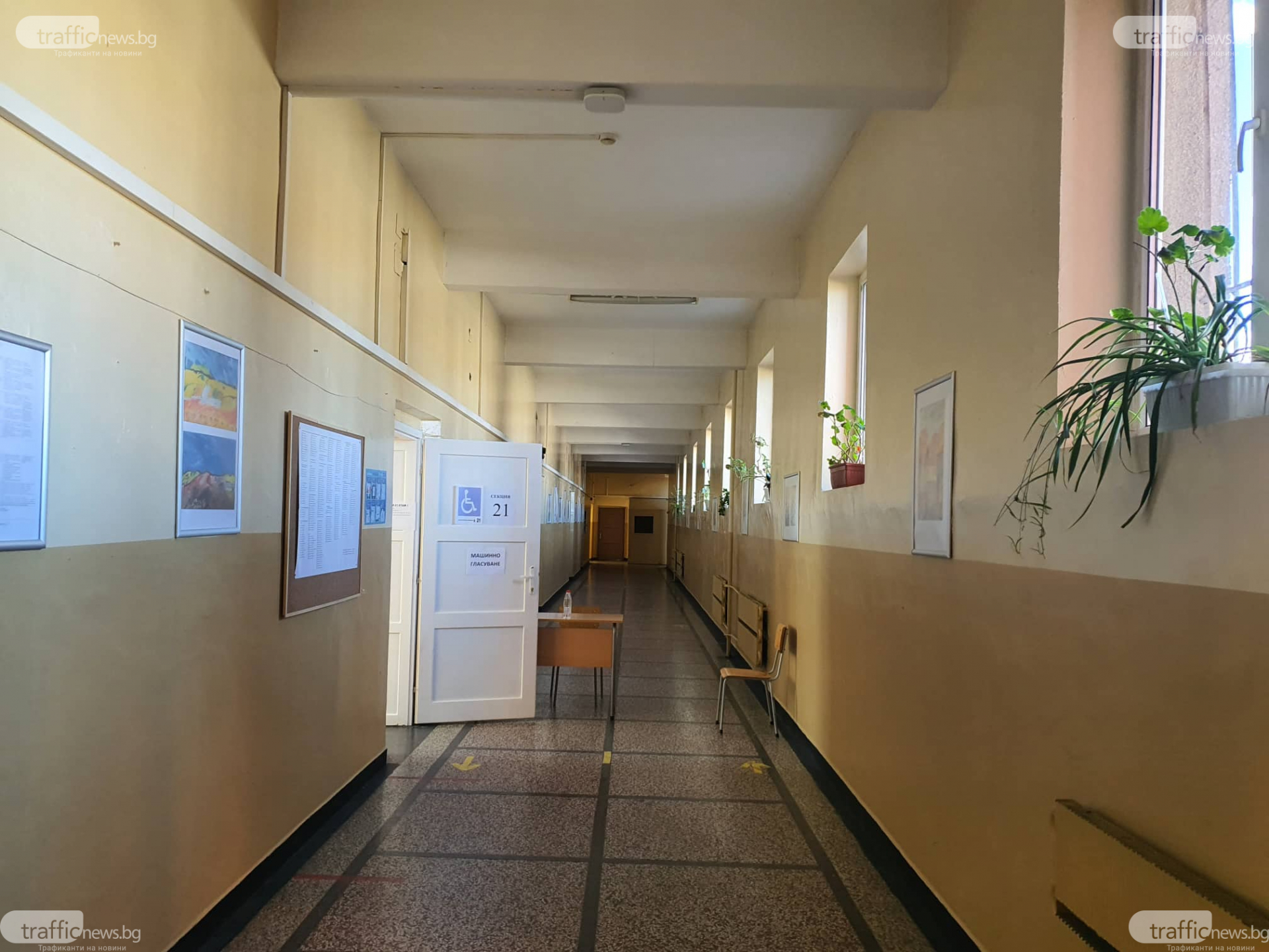 Такова чудо в "Столипиново" не се вижда всеки ден СНИМКИ 