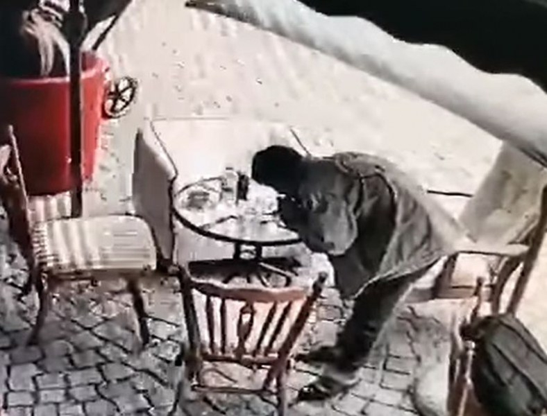 Пловдивчани пропищяха от страшна напаст на пъпа на града 
