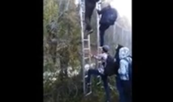 Шокиращо ВИДЕО от оградата: Орди мигранти нахлуват в България по нов маршрут