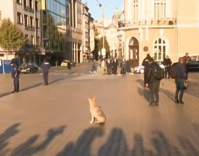 Невиждана ситуация даде стартът на 48-ото НС! Всички са в захлас, а Гълъб Донев... БЛИЦ TV