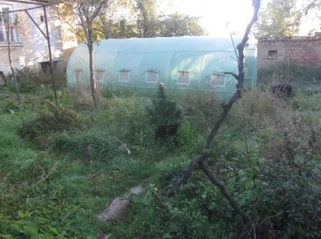 Нови разкрития за скандалната наркобанда в Дъбово - тарторът вкарал и жената и децата СНИМКИ