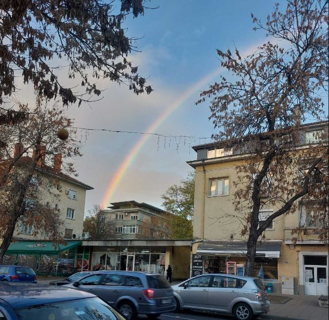 Такова чудо не се вижда всеки ден насред ноември СНИМКА 