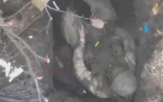 Ново ВИДЕО с граната, паднала в краката на руски бойци и реакцията им възхити мрежата