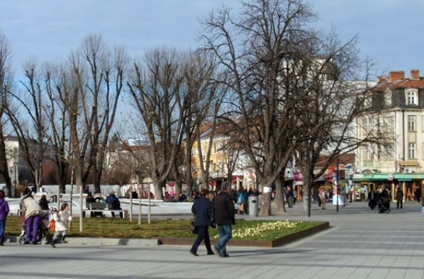 Плевенчани си скубят косите! Солени санкции грозят всеки, който посмее да... 