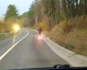 Клонинг на Емили Тротинетката вилнее на пътя, мрежата завря ВИДЕО 
