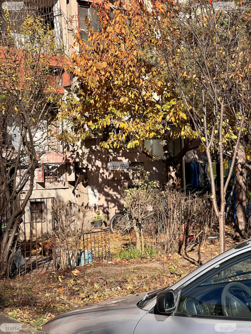 Напук на общината и съседите: Пловдивчанката с частен двор под панелка продължава да наглее СНИМКИ