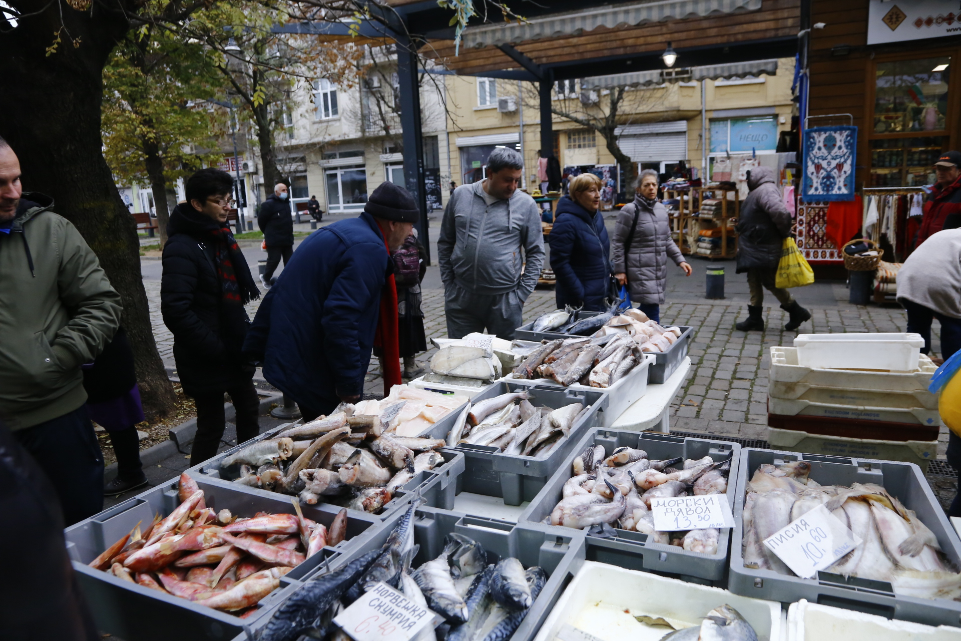Прясната риба се превърна в деликатес, а цената й... 