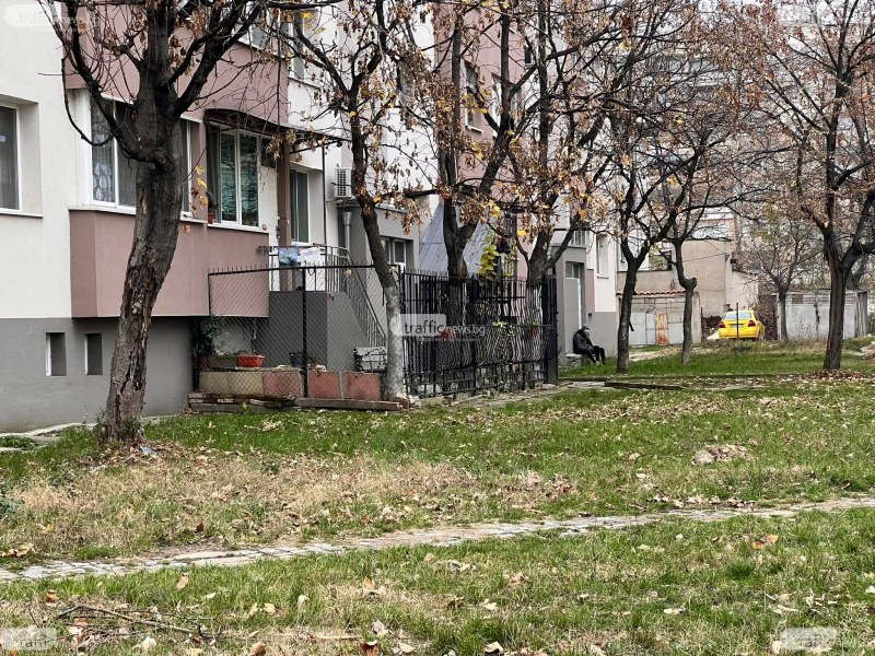 Анка е пловдивчанката, изумила всички с наглостта си! Ето какво й се случи