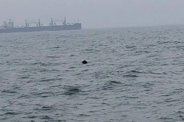 Извънредна ситуация в Черно море до Констанца СНИМКИ