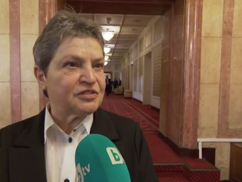 Миглена Тачева: Някои партии не дадоха шанс на истинската реформа, а Христо Иванов...