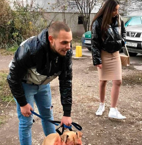 Кървава сцена с питбул в Пловдив, стопаните бездействат на ужаса СНИМКА