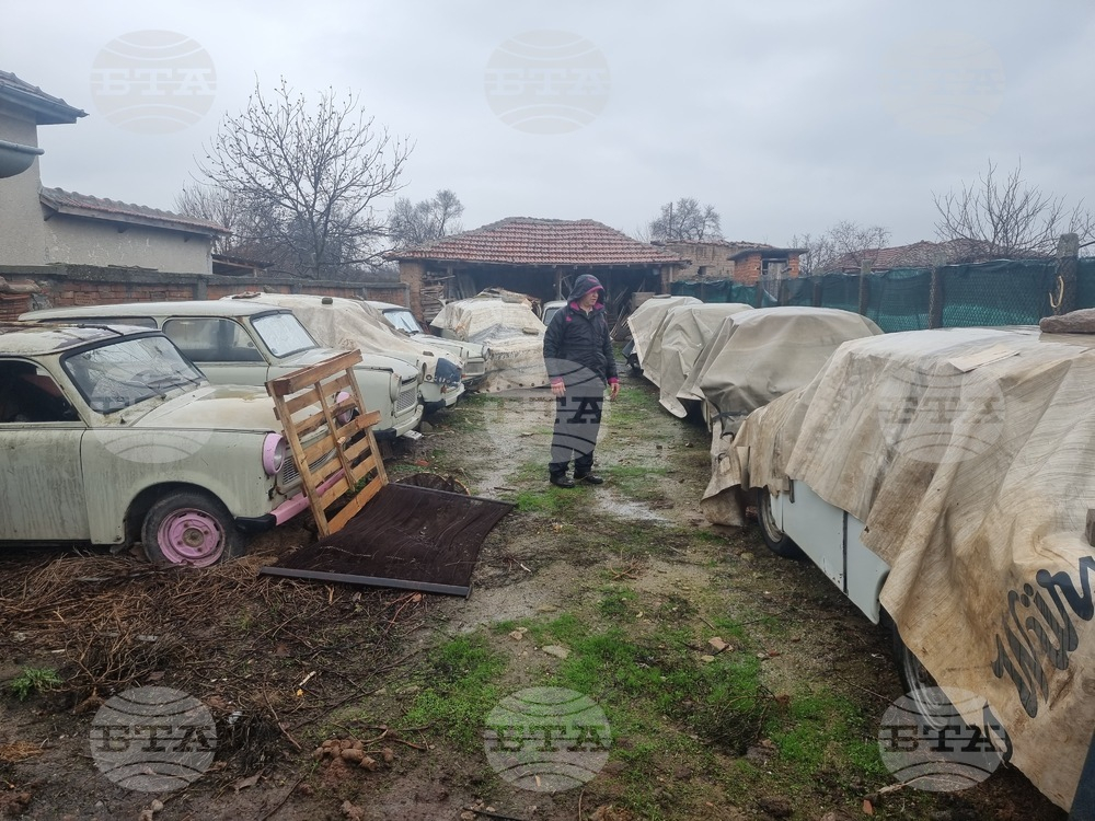 В двора на банковия служител Георги се крие невероятно имане