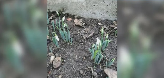Чудо в Смолян: Всички се чудят какво ще става с природата и с хората