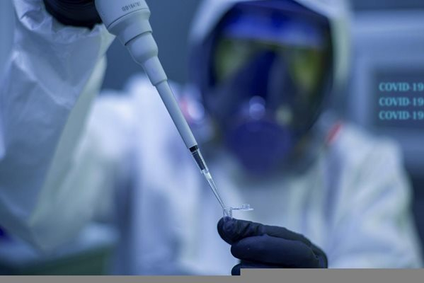 Сводка: Следколедно затишие по отношение на К-19 у нас
