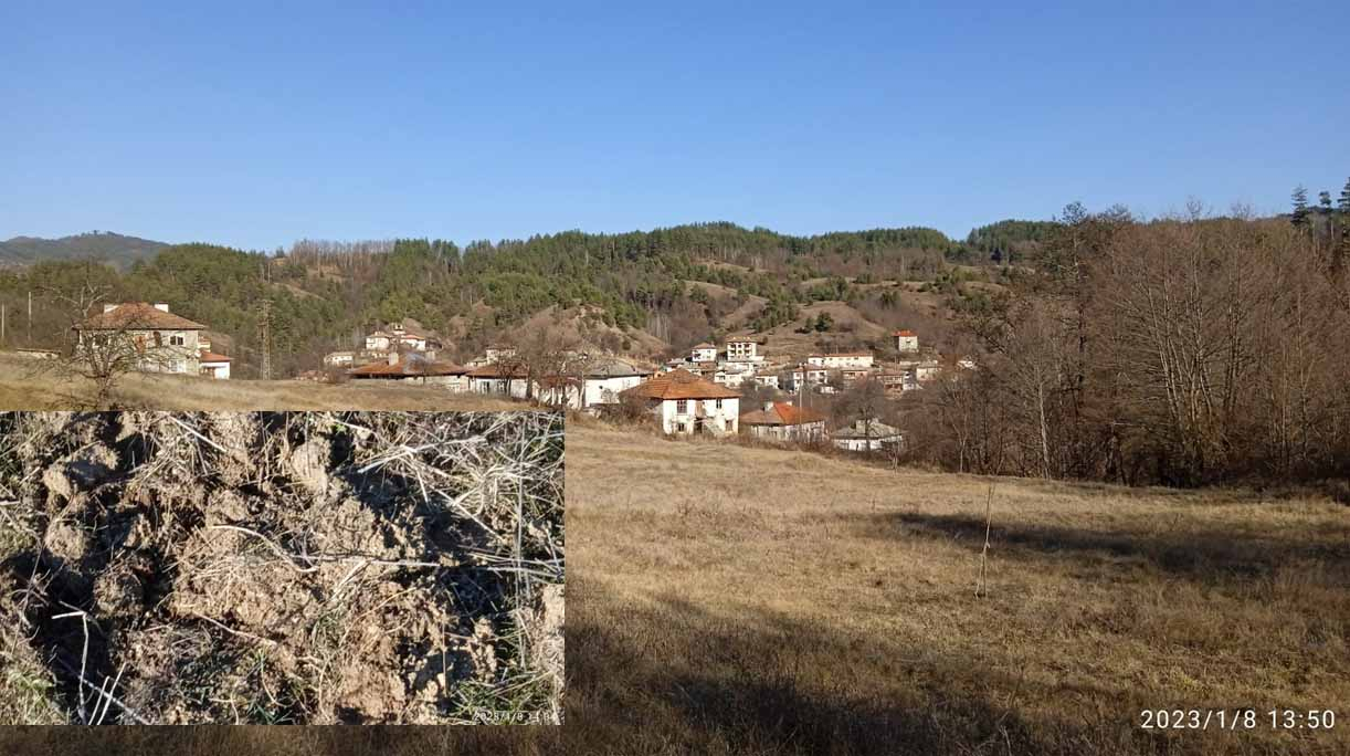 Селяни от Родопите на нокти, изгладнели зверове настъпват към домовете им