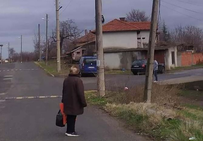 В Родопите гледат и не вярват на очите си, такова нещо посред зима не е ставало СНИМКА 