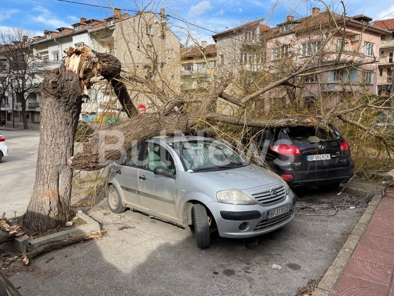 Започна се! Опасното време в България взе първи жертви СНИМКИ 