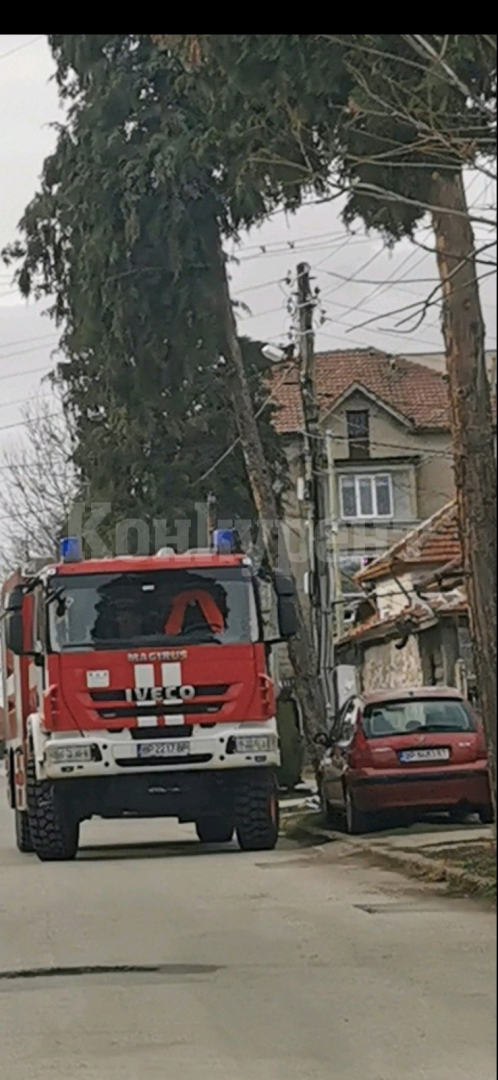 Полицията в Бяла Слатина със страшен удар, разкри голяма тайна под езеро с японски шарани 
