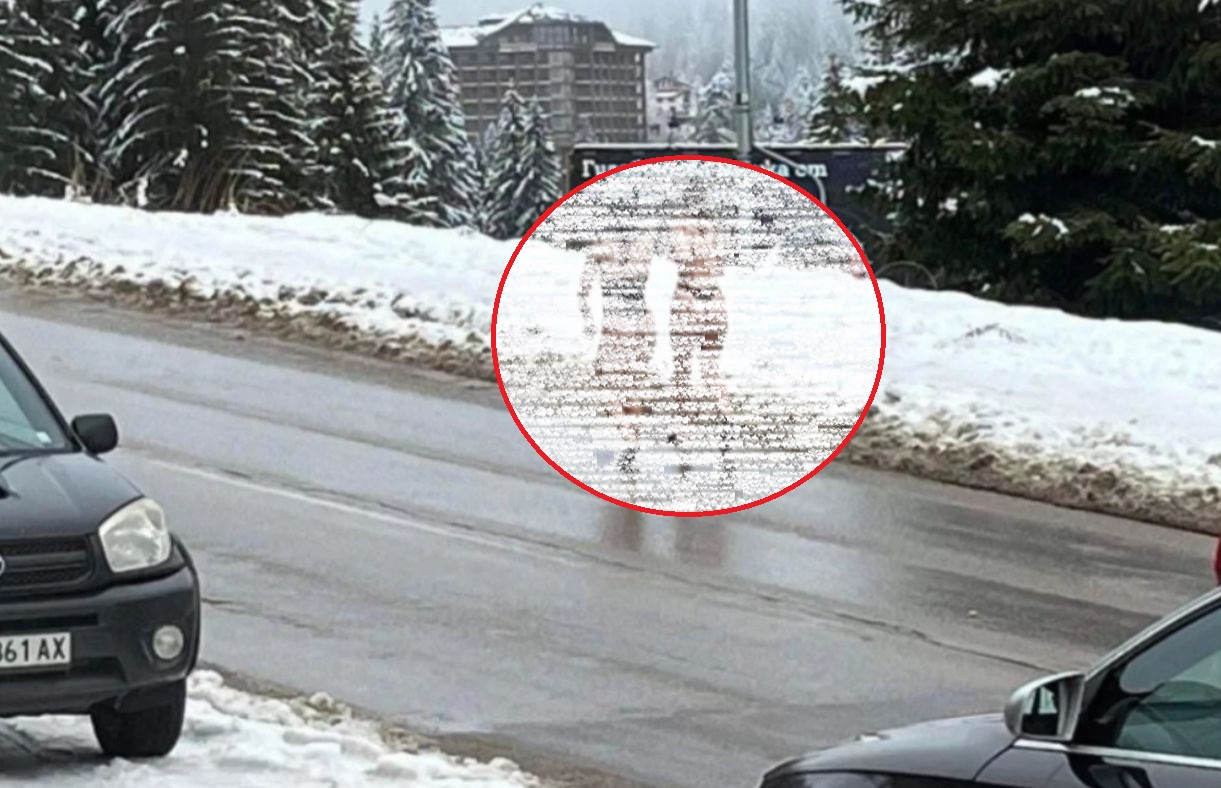 Полуголи бягащи мадами в снега ошашавиха всички в Пампорово СНИМКА 18+