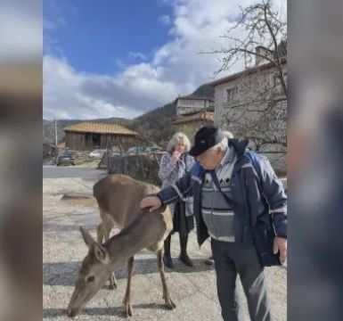 Красиво създание - хит в родопско село, яде вафли и дава да я галят СНИМКИ