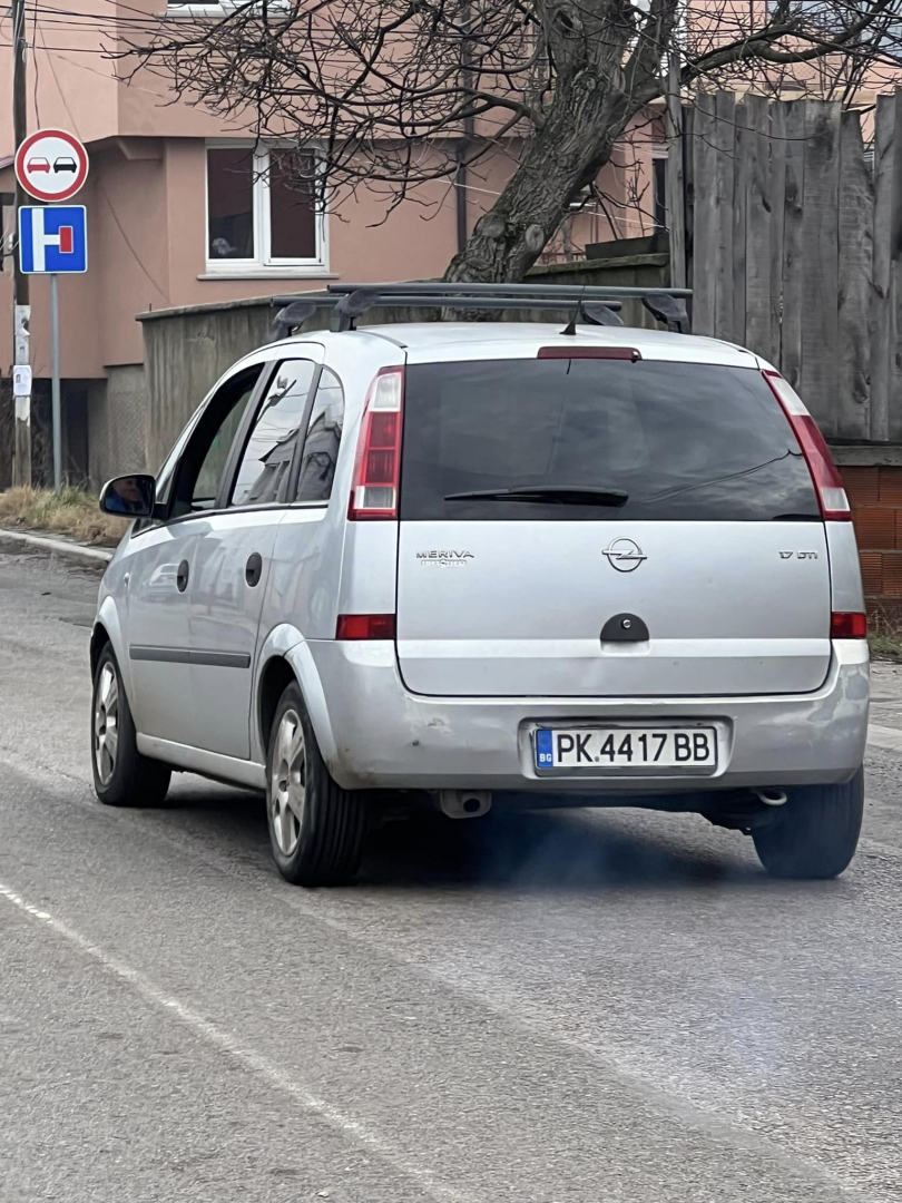 Брутално зверство над куче в Перник СНИМКИ