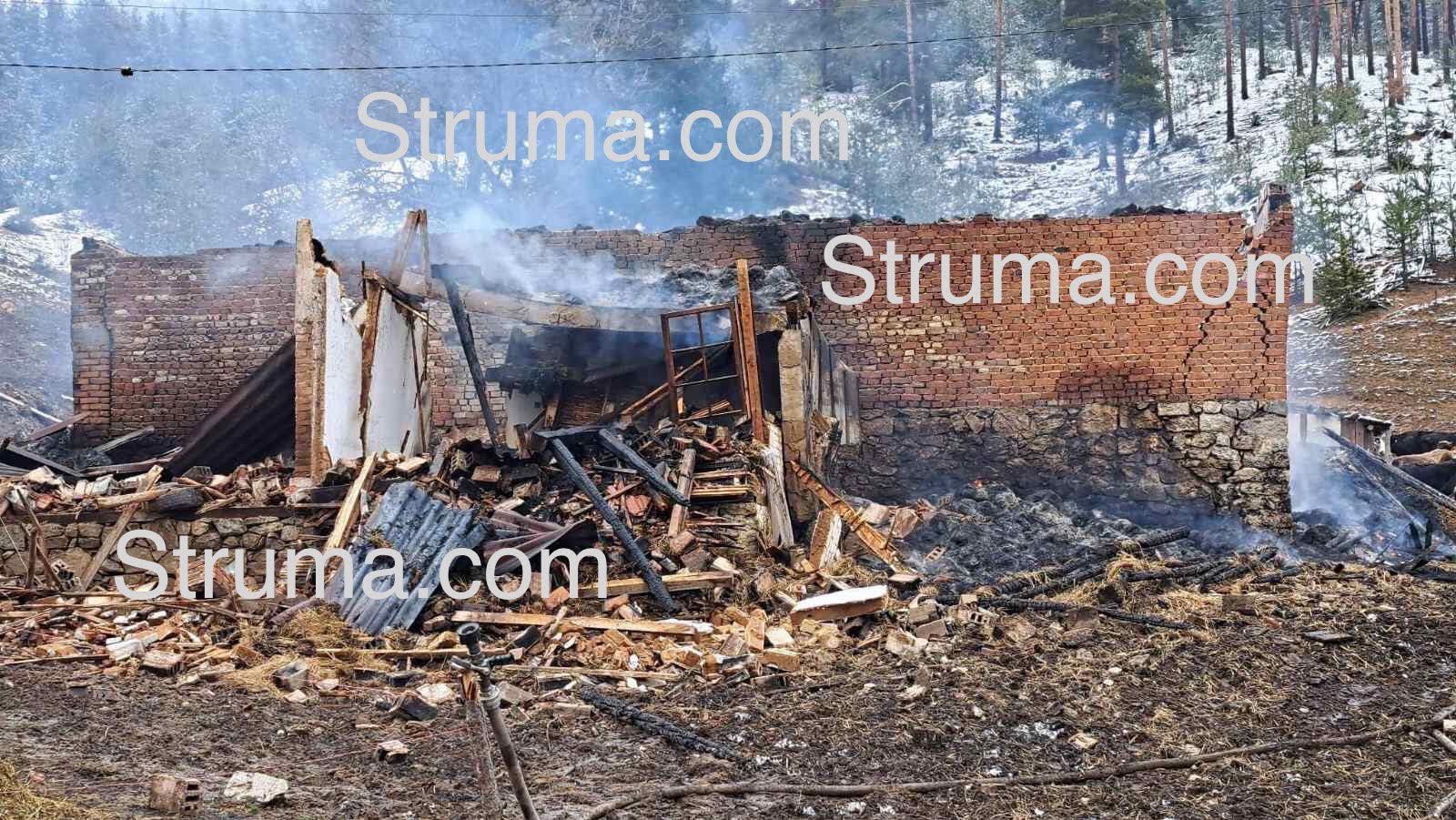 Фермер ще си слага въжето заради тази жестока трагедия в Якоруда!  СНИМКИ