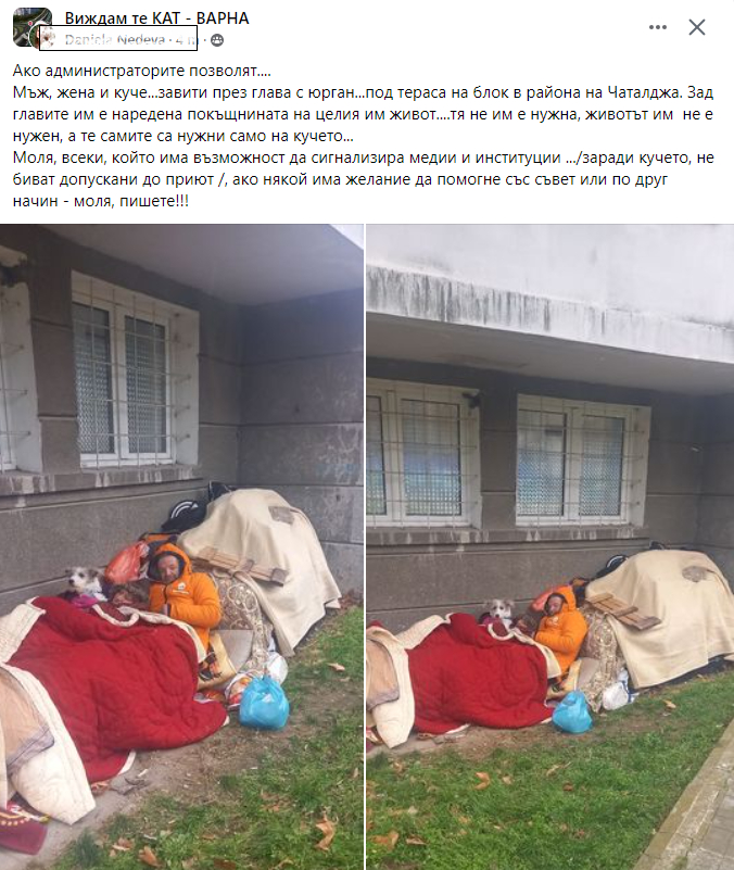 СНИМКИ на мъж, жена и куче от Варна, потресоха мрежата