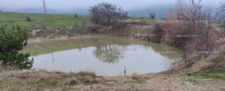 Шокираща гледка в кърджалийско село, местните не вярват на очите си СНИМКИ 