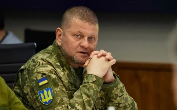 "Това е отвратително": СНИМКА на Залужни възмути френски политик