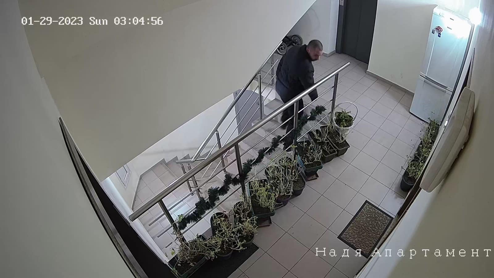 Мрежата е потресена от тази кражба в Стара Загора СНИМКИ