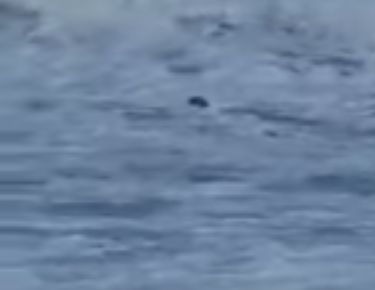 Бурното море довлече нещо зловещо край брега на Дюни ВИДЕО 