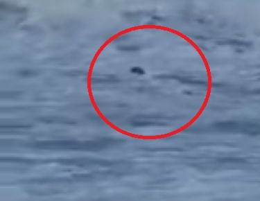 Бурното море довлече нещо зловещо край брега на Дюни ВИДЕО 