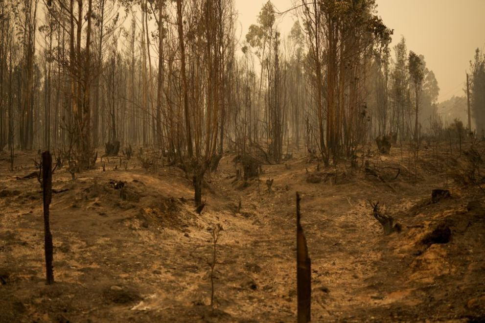 Огромна трагедия в Чили, 24 са жертвите СНИМКИ