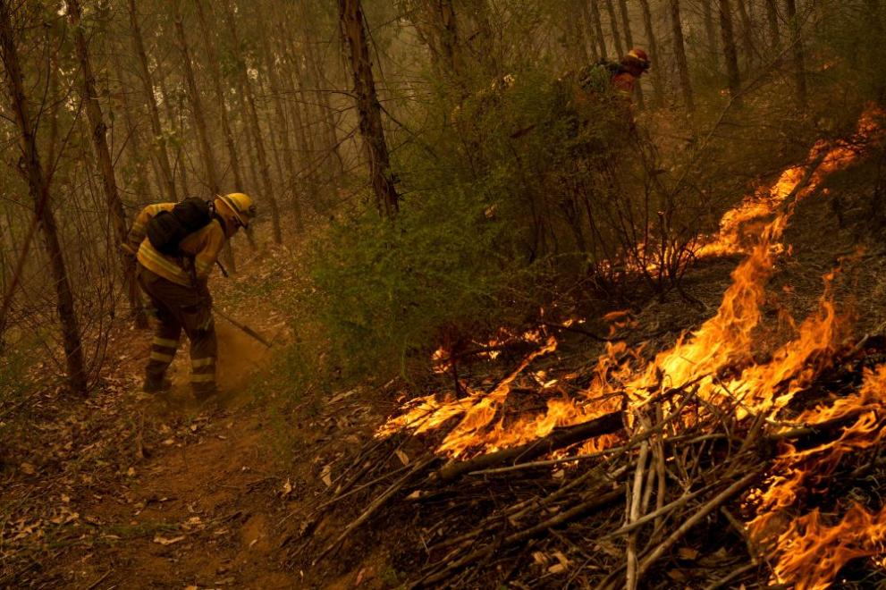 Огромна трагедия в Чили, 24 са жертвите СНИМКИ