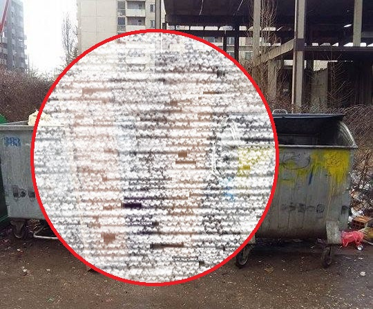 Зловещо смъртоносна СНИМКА 18+ от София ужаси всички
