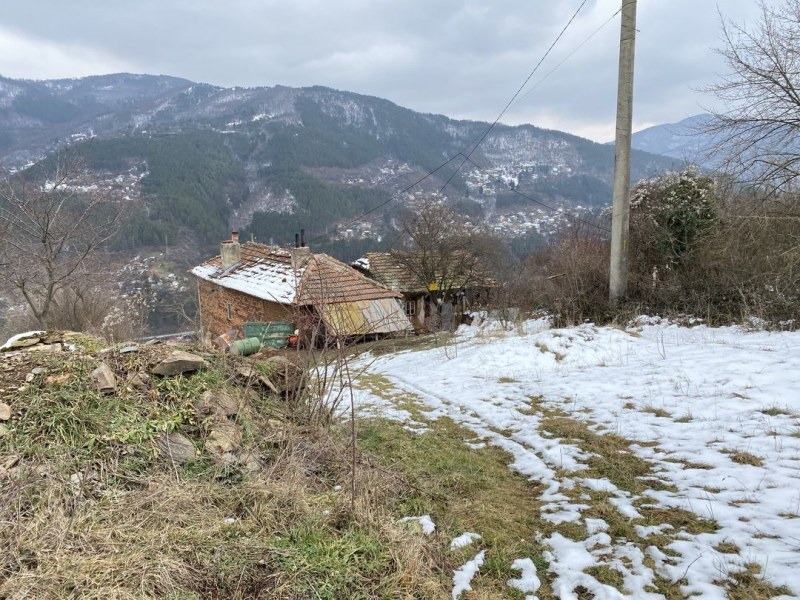 Зов за помощ: Ще се обедини ли цяла България заради тези три деца СНИМКА