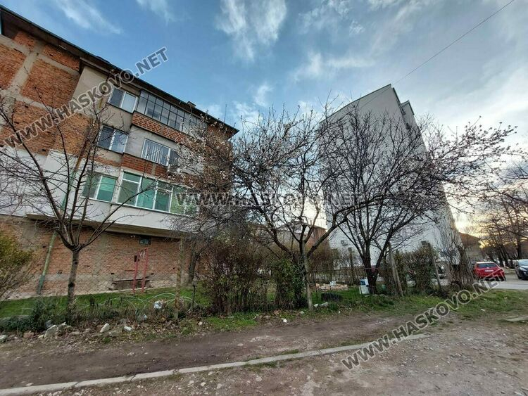 Аномалия насред февруари шашна хасковлии СНИМКИ 